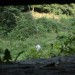 mini-IMG_1358